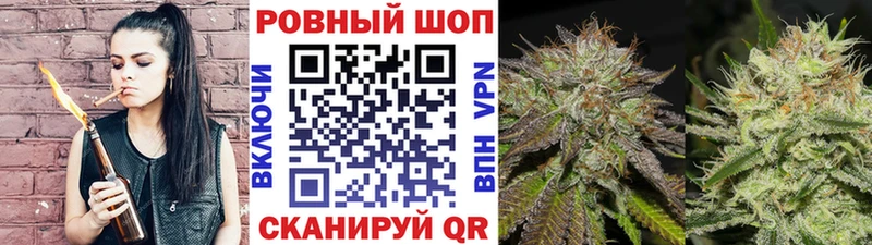 Наркотические вещества Северодвинск Кокаин  A PVP  Гашиш 