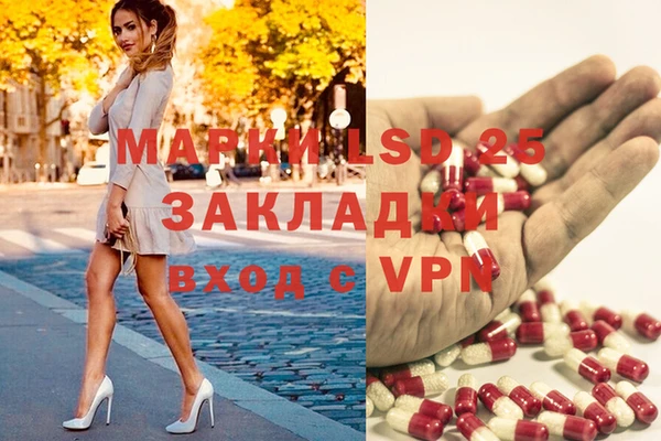 индика Нязепетровск