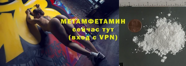 индика Нязепетровск