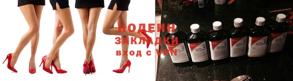 индика Нязепетровск