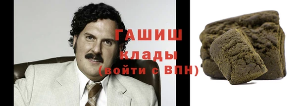 индика Нязепетровск