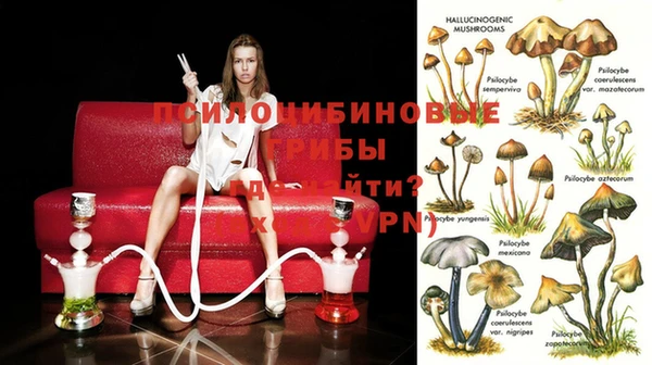 2c-b Ухта